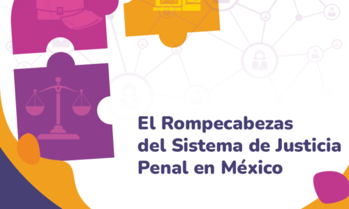 El Rompecabezas del Sistema de Justicia Penal en México